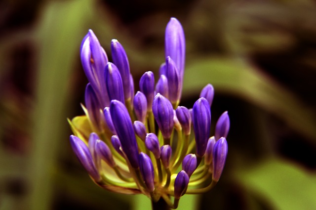 比萨vs帕尔马：恩佐拉、埃贝彻尔首发，马特奥-佩莱格里诺、阿德里安-贝尔纳韦出战